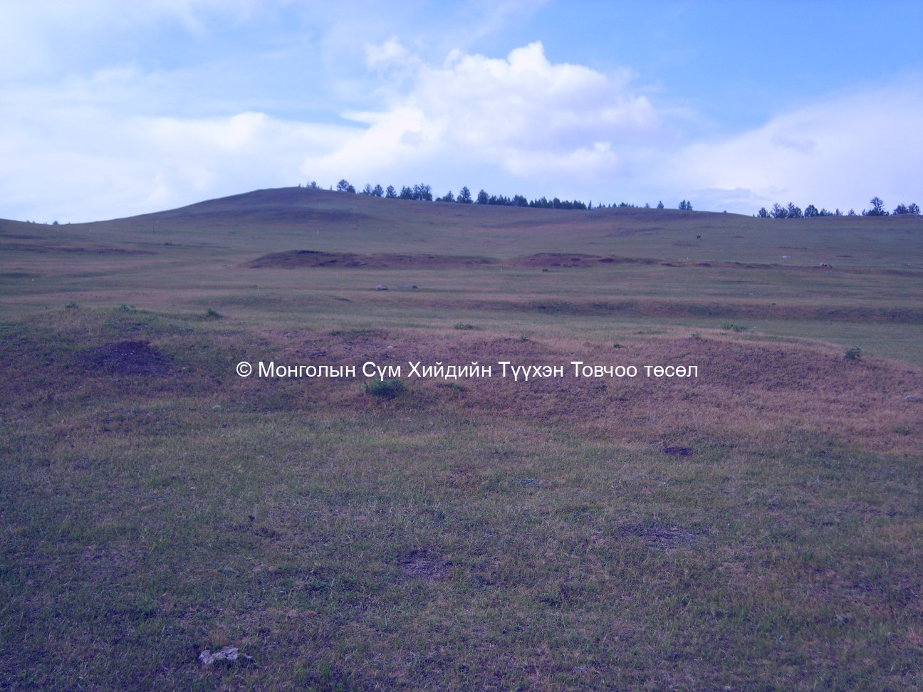 Өмнөд талаас авсан